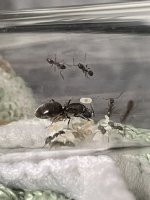 IMG_6448.jpeg