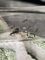 IMG_6445.jpeg