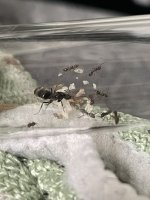 IMG_6446.jpeg