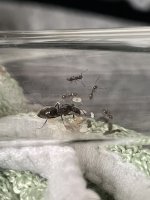 IMG_6444.jpeg