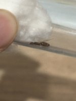 IMG_0769.jpeg