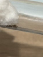 IMG_0768.jpeg