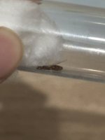IMG_0766.jpeg