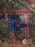 IMG_3863.jpeg