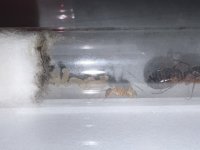 IMG_1404.jpeg