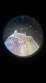 20260624_215404.jpg 20260624_215404.jpg