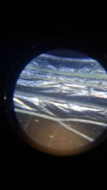 20260624_215525.jpg