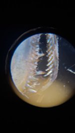 20260624_215942.jpg