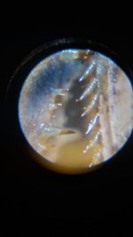20260624_220131.jpg 20260624_220131.jpg