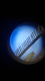 20260624_220359.jpg