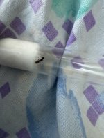 IMG_7206.jpeg