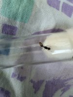 IMG_7205.jpeg