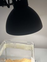 IMG_5836.jpeg