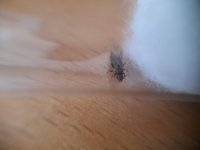 20260630_135101.jpg