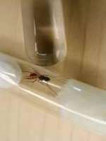 IMG_20260630_165323.jpg