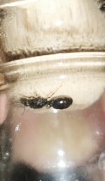 IMG_20260630_200259.jpg