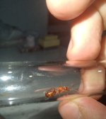 20260630_215226.jpg
