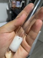 IMG_0533.jpeg