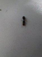 20260630_225123.jpg