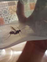 IMG_20260630_185648.jpg