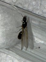 IMG-20260701-WA0002.jpg