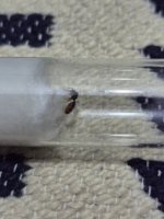 64521.jpg