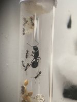 IMG_3707.jpeg