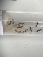 IMG_3705.jpeg