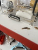 IMG_3711.jpeg