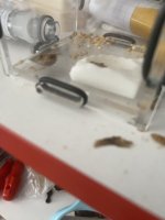 IMG_3710.jpeg