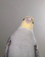 1000068254.jpg