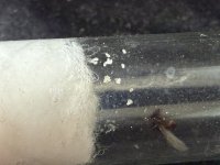 IMG_7257.jpeg
