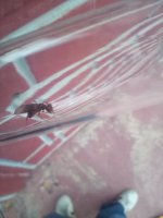 IMG_20260701_201714.jpg