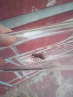 IMG_20260701_201635.jpg