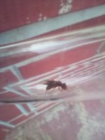 IMG_20260701_201633.jpg