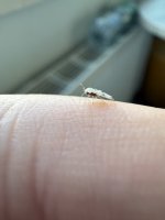 IMG_1786.jpeg