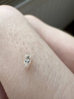 IMG_1809.jpeg