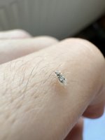 IMG_1807.jpeg