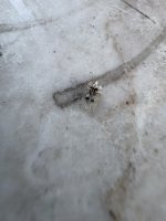 IMG_1767.jpeg