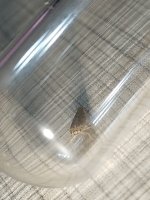 IMG_20260701_222537.jpg