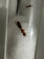 IMG_4533.jpeg