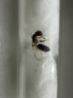 IMG_4534.jpeg