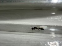 IMG_4536.jpeg