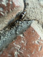 IMG_5327.jpeg