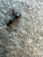 IMG_5319.jpeg