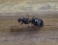 IMG_0802.jpeg
