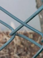 IMG_20260702_150411_689.jpg