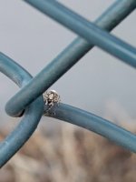 IMG_20260702_150416_968.jpg