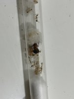 IMG_3459.jpeg