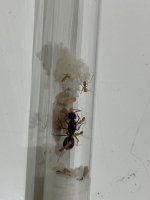 IMG_3457.jpeg